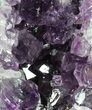 Dark Purple Amethyst Cluster On Wood Base #50181-1